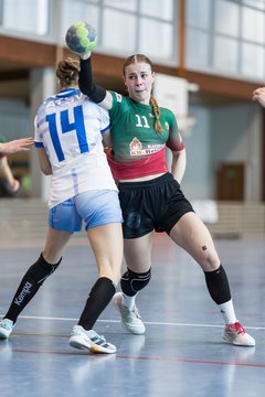 Bild 168 - F HSG Kremperheide/Muensterdorf - ATSV Stockelsdorf 2 : Ergebnis: 47:32